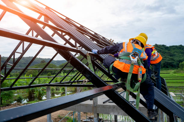 Best Roof Gutter Cleaning  in Evergreen, MT