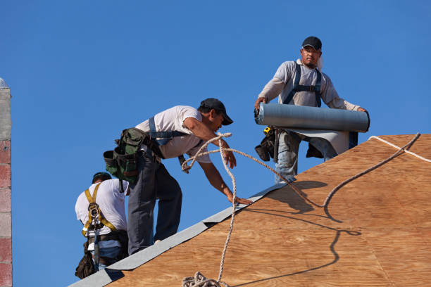 Best Commercial Roofing Services  in Evergreen, MT